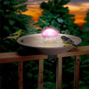 Aurora Color Changing Water Wiggler