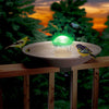 Aurora Color Changing Water Wiggler