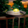 Aurora Color Changing Water Wiggler