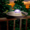 Aurora Color Changing Water Wiggler