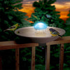 Aurora Color Changing Water Wiggler