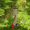 Big Tube Wild Bird Feeder, Spruce