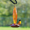 Audubon Amber Cut Glass Oriole Feeder