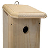 Chickadee House