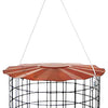 Caged Bluebird Feeder, Copper Colored