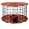 Caged Bluebird Feeder, Copper Colored