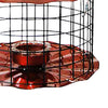 Caged Bluebird Feeder, Copper Colored