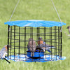 Caged Bluebird Feeder, Blue