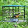 Caged Bluebird Feeder, Blue