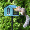Food Pantry Squirrel Feeder
