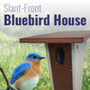 Recycled Plastic Slant-Front Bluebird House, Brn