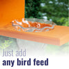 Recycled Plastic Double Oriole Feeder, Black/Orange
