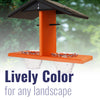 Recycled Plastic Double Oriole Feeder, Black/Orange