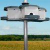 Heritage Farms Quad Pod Purple Martin House - 1 level - BirdHousesAndBaths.com