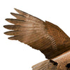 American Bald Eagle Kite, 60" Wingspan