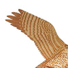 Peregrine Falcon Kite, 43.5" Wingspan
