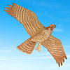 Peregrine Falcon Kite, 43.5" Wingspan