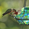 Illuminated Top Glass Hummingbird Feeder, 16 oz - BirdHousesAndBaths.com
