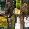 Uncle Dunkel's Bark Clad Ultimate Bluebird House - BirdHousesAndBaths.com