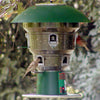 Electronic 8 Port Squirrel Proof Bird Feeder