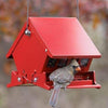 Absolute II Mini Bird Feeder - BirdHousesAndBaths.com