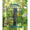 Audubon Squirrel-Resistant Caged Tube Bird Feeder - BirdHousesAndBaths.com