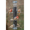 Droll Yankees A-6RP Ring Pull Bird Feeder - BirdHousesAndBaths.com