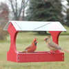 Going Green Fly Through Bird Feeder, Red - BirdHousesAndBaths.com