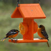 Going Green Recycled Plastic Oriole Fruit Feeder - BirdHousesAndBaths.com