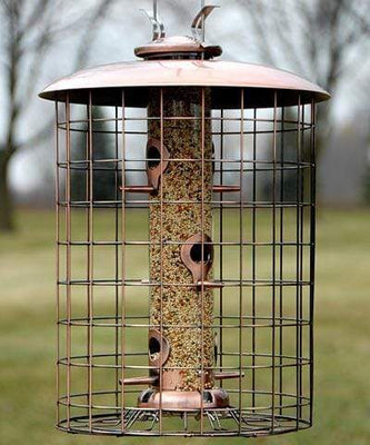 Cage Bird Feeders