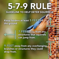 Audubon Squirrel-Resistant Caged Tube Bird Feeder