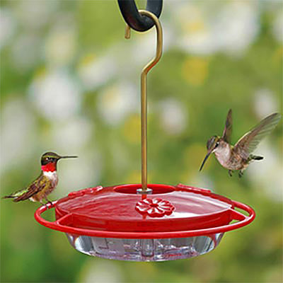 HummZinger Mini Hummingbird Feeder, 8 oz. - BirdHousesAndBaths.com