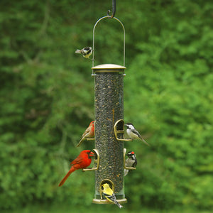 Big Tube Wild Bird Feeder, Antique Brass