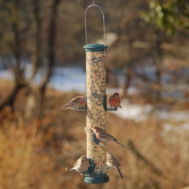 Quick-Clean Seed Tube Wild Bird Feeder, Lrg., Spruce