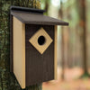 Audubon Contemporary Recycled Plastic Brown Bluebird House