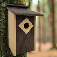 Audubon Contemporary Recycled Plastic Brown Bluebird House