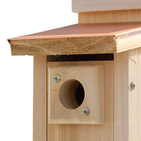 Audubon Coppertop Bluebird House