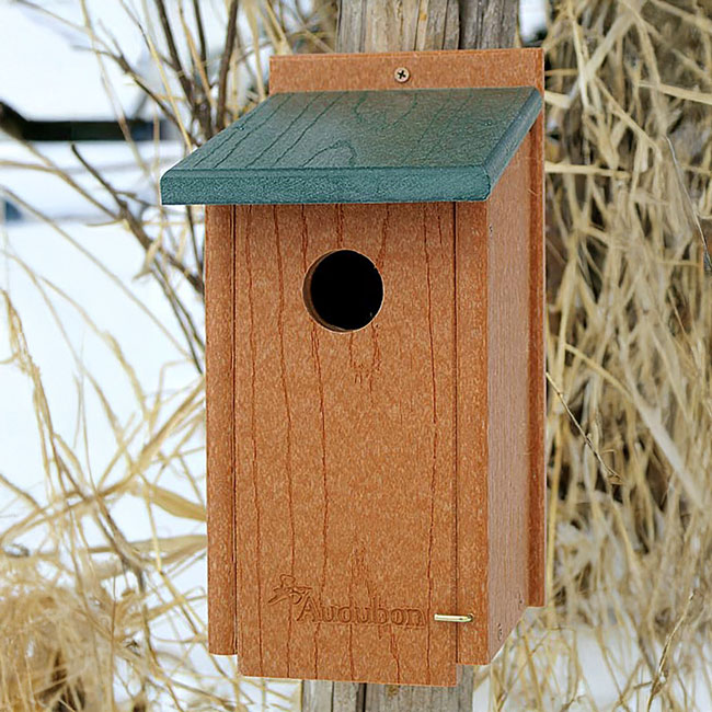 Audubon Recycled Plastic Bluebird House