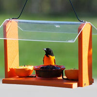 Audubon Recycled Plastic Oriole and Bluebird Feeder