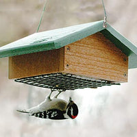 Audubon Recycled Plastic Upside Down Suet Feeder