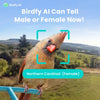 Birdfy Smart Bird Feeder with Camera