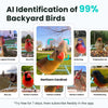 Birdfy Smart Bird Feeder with Camera