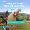 Birdfy Metal Smart Bird Feeder with Camera