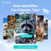 Birdfy Metal Smart Bird Feeder with Camera