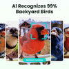 Birdfy Metal Smart Bird Feeder with Camera