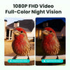 Birdfy Metal Smart Bird Feeder with Camera