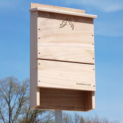 Bat House, Triple-Celled, 250 bats