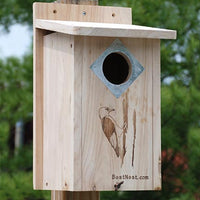 Classic Three-Woodpecker House
