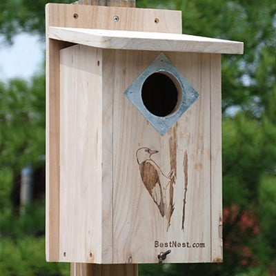 Classic Three-Woodpecker House
