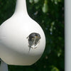 Purple Martin Gourds with Hanging Bracket and Pole Kit